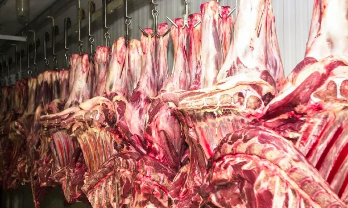 Açougueiro é condenado no Iraque por vender carne de porco em cidade sagrada