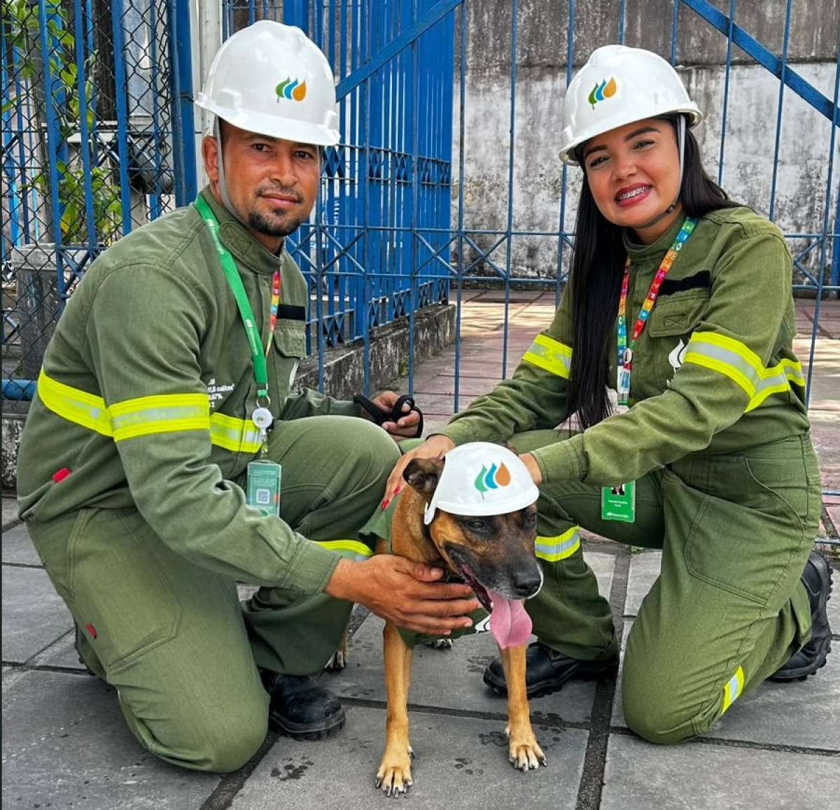 Nova campanha da Neoenergia Pernambuco conta com cão mascote ao lado de eletricistas para alertar sobre segurança 