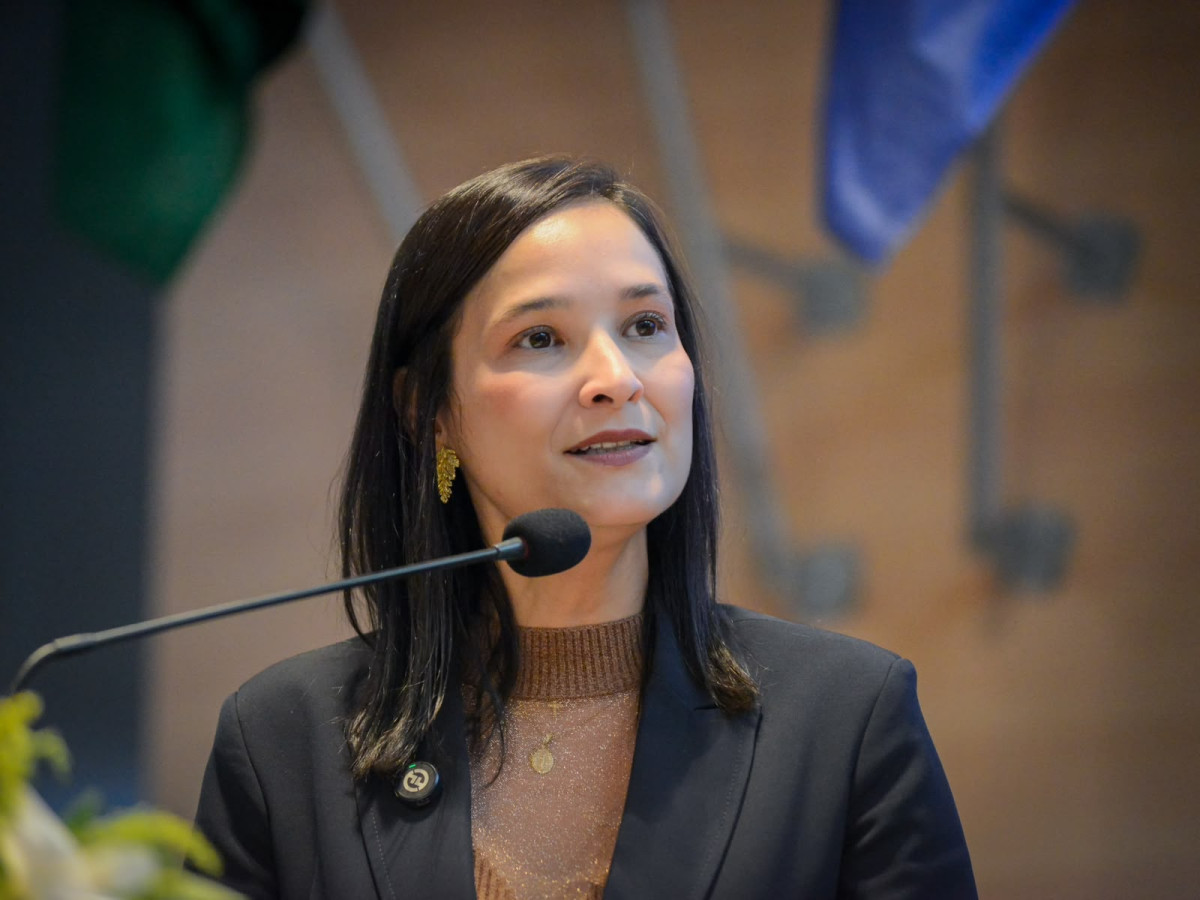 Ingrid Zanella vai ao STF cobrar medidas cautelares diante da crise na Corte