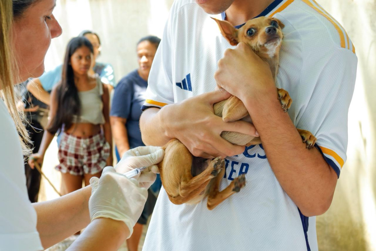Campanha de Vacinação contra a Raiva inicia segunda (14) na zona rural de Garanhuns