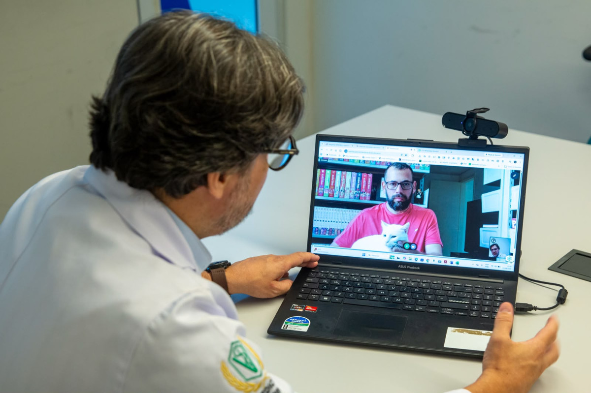 Conecta Patinhas oferece atendimento veterinário gratuito sem que o tutor precise sair de casa 