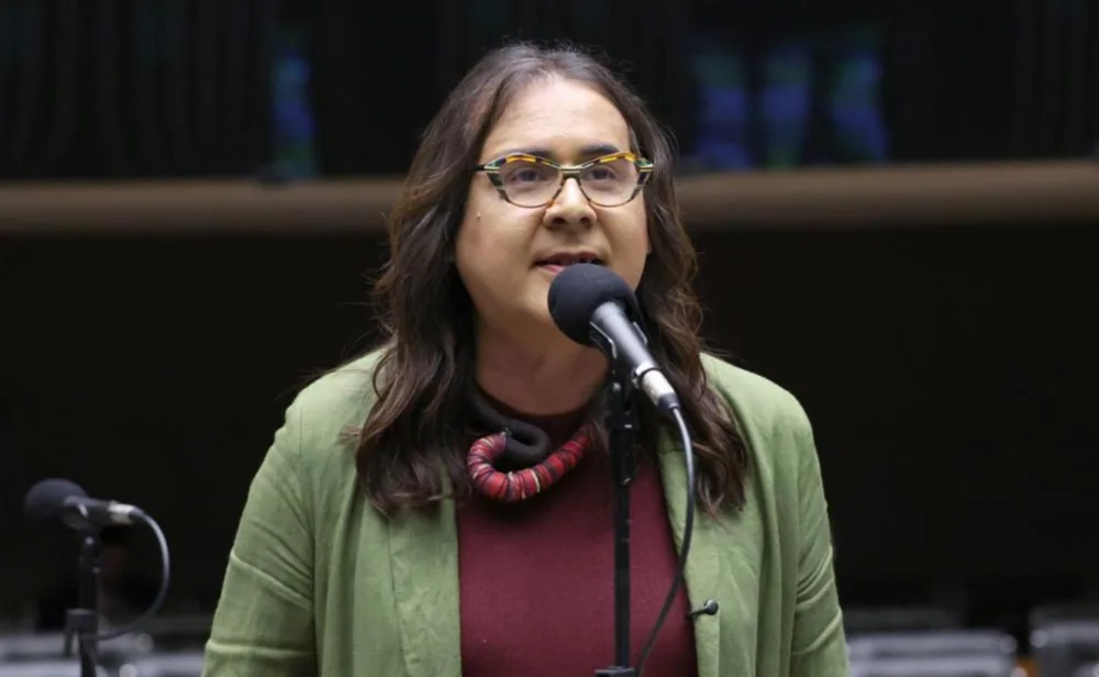 Duda Salabert pede a Alcolumbre suspensão do salário de Flávio