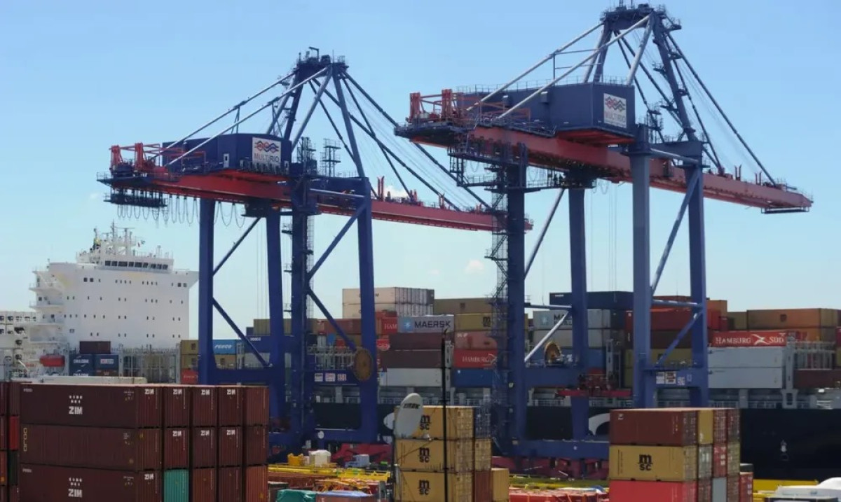 Tânia Rêgo