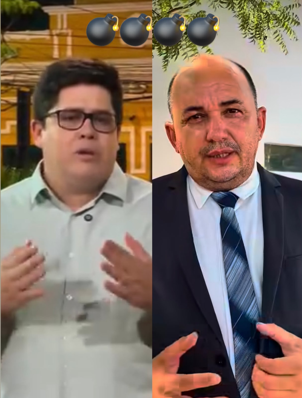 Reprodução 
