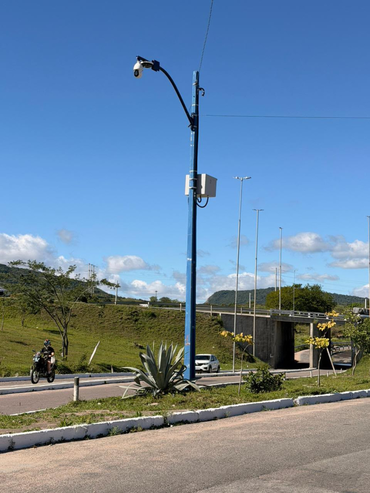 Divulgação