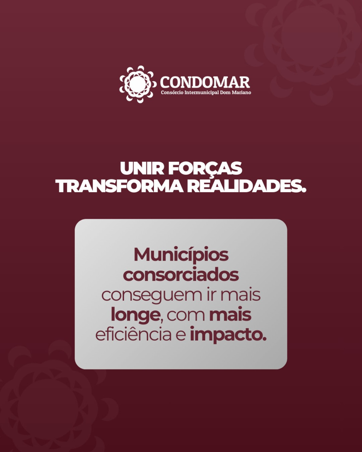 Divulgação