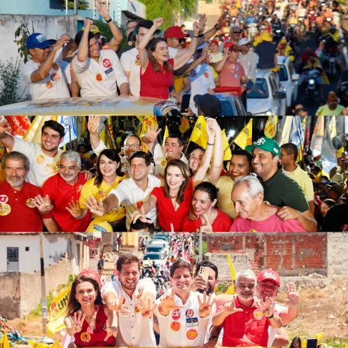 Divulgação