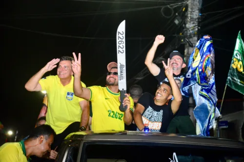 Divulgação 