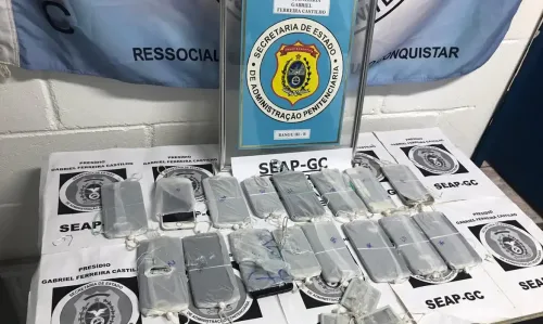 Divulgação 