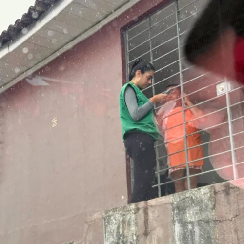 Divulgação